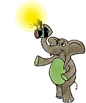 Elephant - Press for Upgrade to Windows XP!