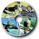 The Encyclopedia of Wild Life in Israel